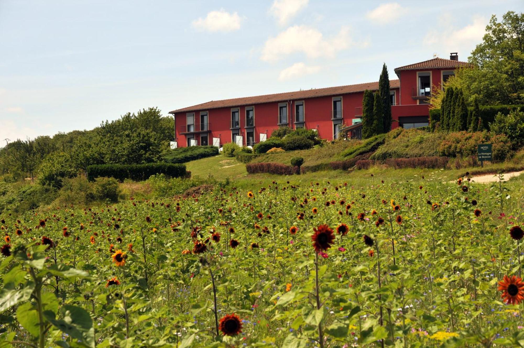 Hotel Restaurant La Montagne De Brancion Martailly-lès-Brancion Buitenkant foto